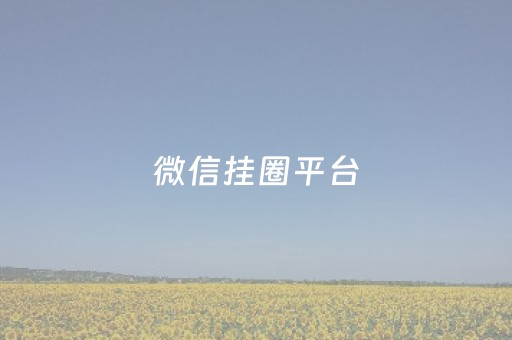 微信挂圈平台（微信挂圈可靠吗）