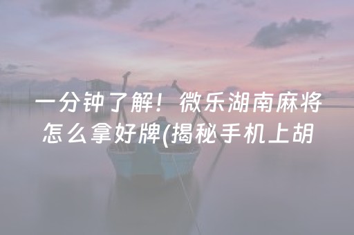 一分钟了解！微乐湖南麻将怎么拿好牌(揭秘手机上胡牌神器)