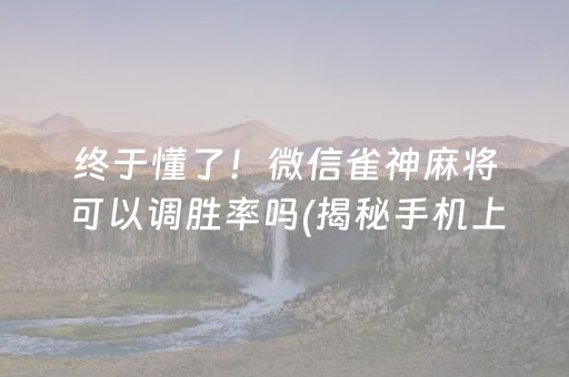 终于懂了！微信雀神麻将可以调胜率吗(揭秘手机上赢牌的技巧)