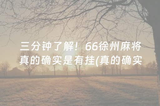 三分钟了解！66徐州麻将真的确实是有挂(真的确实是有挂)