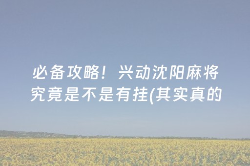 必备攻略！兴动沈阳麻将究竟是不是有挂(其实真的有挂)