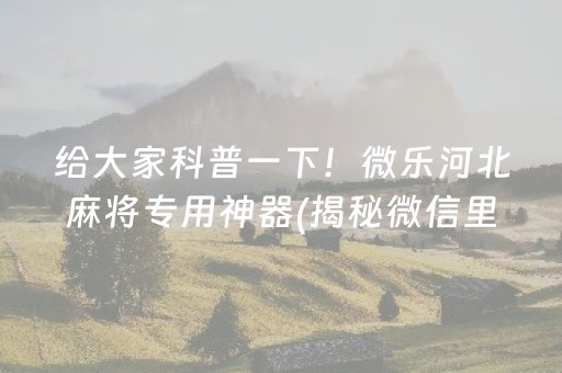 给大家科普一下！微乐河北麻将专用神器(揭秘微信里插件购买)