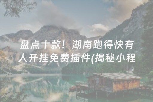 盘点十款！湖南跑得快有人开挂免费插件(揭秘小程序胡牌技巧)