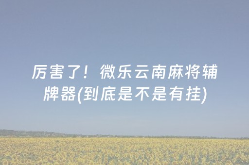 厉害了！微乐云南麻将辅牌器(到底是不是有挂)