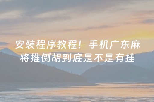 安装程序教程！手机广东麻将推倒胡到底是不是有挂(原来真的有挂)