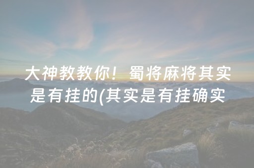 大神教教你！蜀将麻将其实是有挂的(其实是有挂确实有挂)