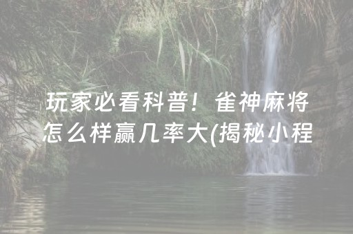 玩家必看科普！雀神麻将怎么样赢几率大(揭秘小程序赢的诀窍)