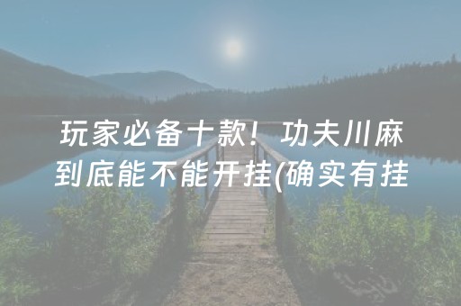 玩家必备十款！功夫川麻到底能不能开挂(确实有挂吗)