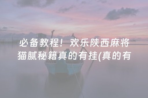 必备教程！欢乐陕西麻将猫腻秘籍真的有挂(真的有挂)