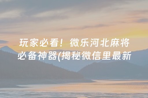 玩家必看！微乐河北麻将必备神器(揭秘微信里最新神器下载)