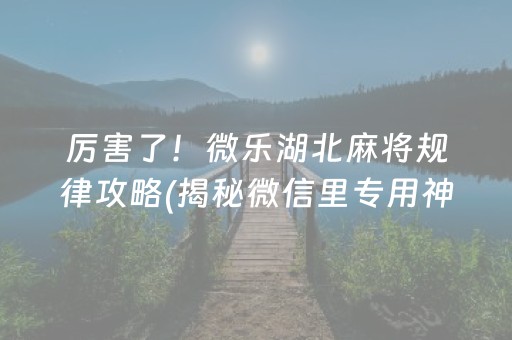 我来教大家！微乐宁夏麻将怎么提高胜率(揭秘小程序胡牌神器)