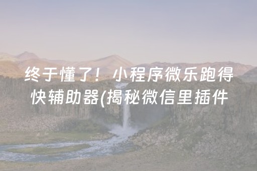 终于懂了！小程序微乐跑得快辅助器(揭秘微信里插件免费)