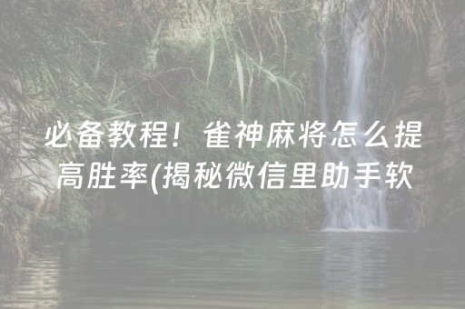 必备教程！雀神麻将怎么提高胜率(揭秘微信里助手软件)