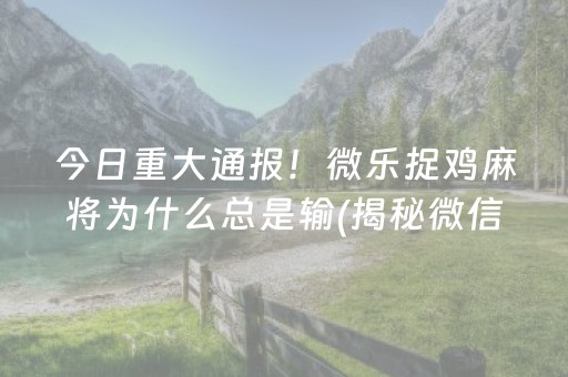 今日重大通报！微乐捉鸡麻将为什么总是输(揭秘微信里自建房怎么赢)