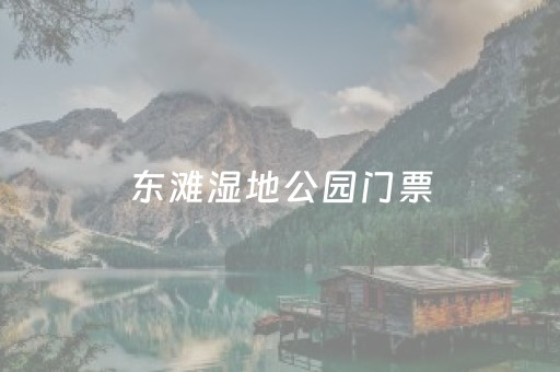 东滩湿地公园门票（东滩湿地公园门票免费吗）