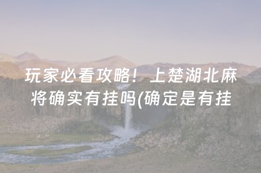 玩家必看攻略！上楚湖北麻将确实有挂吗(确定是有挂)