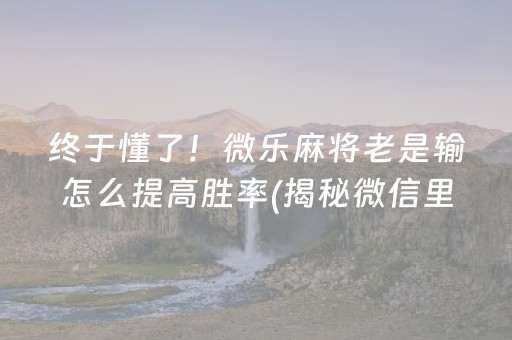 终于懂了！微乐麻将老是输怎么提高胜率(揭秘微信里专用神器)