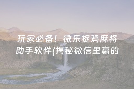 玩家必备！微乐捉鸡麻将助手软件(揭秘微信里赢的秘诀)