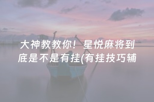 大神教教你！星悦麻将到底是不是有挂(有挂技巧辅助器)