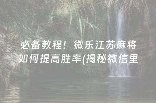 必备教程！微乐江苏麻将如何提高胜率(揭秘微信里插件购买)