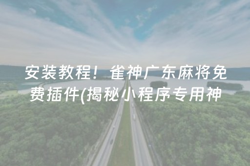 安装教程！雀神广东麻将免费插件(揭秘小程序专用神器下载)