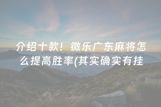 介绍十款！微乐广东麻将怎么提高胜率(其实确实有挂)