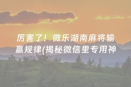 厉害了！微乐湖南麻将输赢规律(揭秘微信里专用神器)