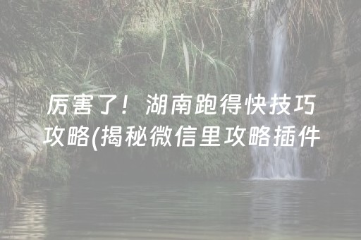 厉害了！湖南跑得快技巧攻略(揭秘微信里攻略插件)