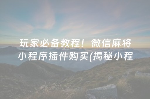 玩家必备教程！微信麻将小程序插件购买(揭秘小程序确实有猫腻)