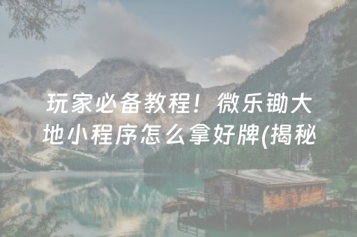 玩家必备教程！微乐锄大地小程序怎么拿好牌(揭秘小程序胜率到哪调)