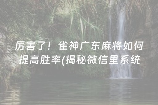 厉害了！雀神广东麻将如何提高胜率(揭秘微信里系统发好牌)