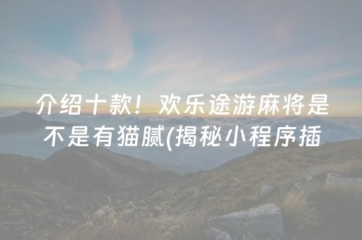 介绍十款！欢乐途游麻将是不是有猫腻(揭秘小程序插件下载)