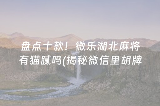 盘点十款！微乐湖北麻将有猫腻吗(揭秘微信里胡牌神器)