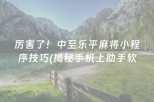 厉害了！中至乐平麻将小程序技巧(揭秘手机上助手软件)