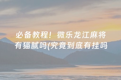 必备教程！微乐龙江麻将有猫腻吗(究竟到底有挂吗)