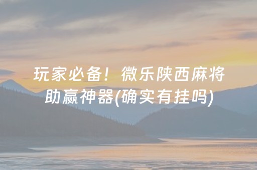 玩家必备！微乐陕西麻将助赢神器(确实有挂吗)