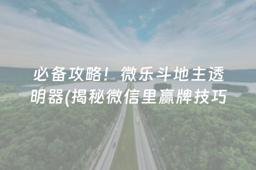 必备攻略！微乐斗地主透明器(揭秘微信里赢牌技巧)