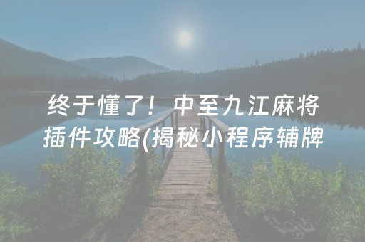 终于懂了！中至九江麻将插件攻略(揭秘小程序辅牌器)