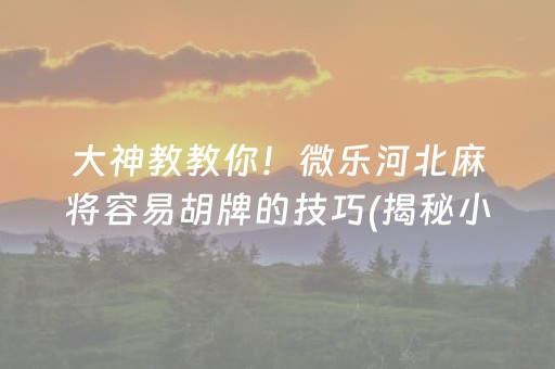 大神教教你！微乐河北麻将容易胡牌的技巧(揭秘小程序助攻神器)