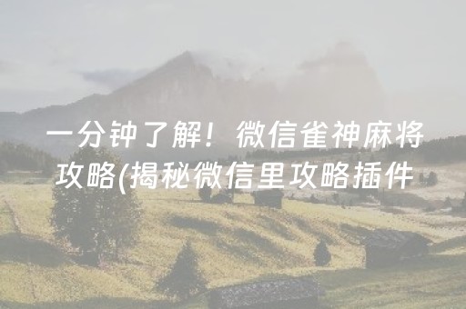 一分钟了解！微信雀神麻将攻略(揭秘微信里攻略插件)