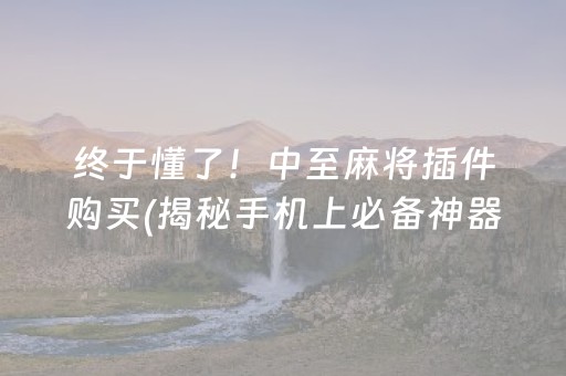 终于懂了！中至麻将插件购买(揭秘手机上必备神器)