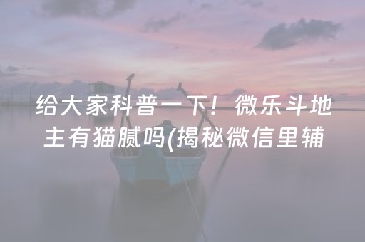 给大家科普一下！微乐斗地主有猫腻吗(揭秘微信里辅牌器)