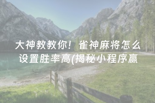 大神教教你！雀神麻将怎么设置胜率高(揭秘小程序赢牌的技巧)