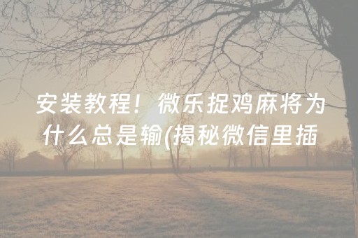 安装教程！微乐捉鸡麻将为什么总是输(揭秘微信里插件免费)