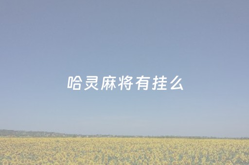 哈灵麻将有挂么（哈灵麻将又挂吗）