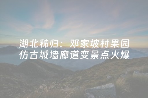 关于“微乐广东麻将助赢神器购买”（助赢神器购买)