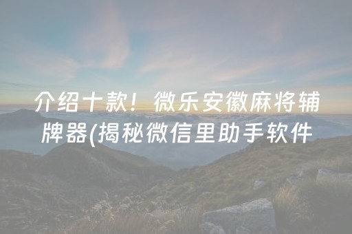 介绍十款！微乐安徽麻将辅牌器(揭秘微信里助手软件)