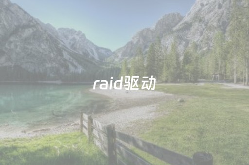 raid驱动（RAID驱动）