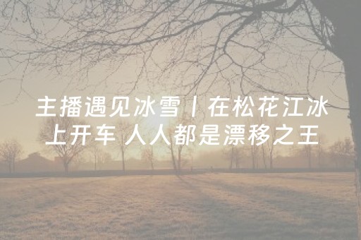 介绍十款“微乐陕西挖坑专用神器”（提高胜率软件)