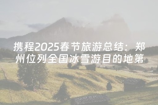 分享玩家攻略“微乐内蒙麻将怎么拿好牌”（免费专用神器)